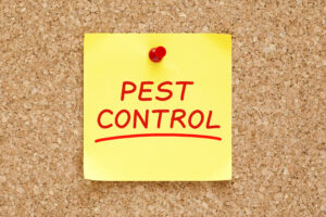 pest control san antonio